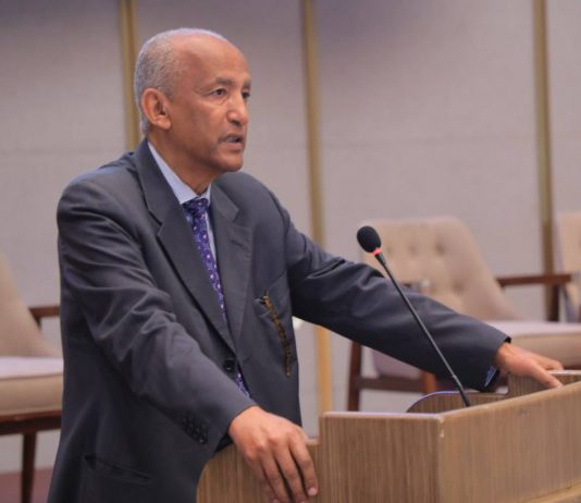 “የእናቶችን ሃዘን ማስቆም የምንችለው ችግሮችን በምክክር መፍታት ስንችል ነው” ፕሮፌሰር መስፍን አርዓያ