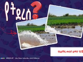 የአልዋዲ መሥኖ ፕሮጀክት ጉዳይ?