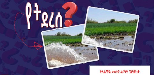 የአልዋዲ መሥኖ ፕሮጀክት ጉዳይ?