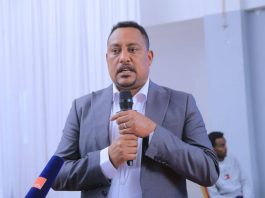 የደብረ ብርሃን ከተማ የልማት ሞዴልነቷን ለማስቀጠል ለሰላም ቅድሚያ ሰጥታ እየሠራች ነው።