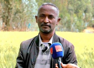 በመደበኛ የክረምት የምርት ጊዜያት የሚያጋጥምን የምርታማነት ችግር ለመቅረፍ የበጋ መስኖ ሰብል ልማት ሚናው የጎላ ነው።