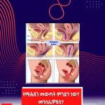 633489554_1341632704661317_8208434082708063200_n