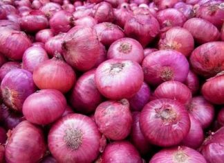 ለቀይ ሽንኩርት ምርት የገበያ ትስስር መፍጠር ያስፈልጋል።