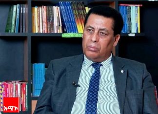 “የዲፕሎማሲ ስኬት የሚመጣው የሀገር ብሔራዊ አቅም ሲጠናከር ነው” አምባሳደር ዲና ሙፍቲ