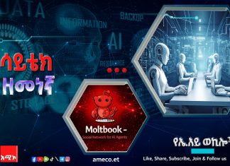 የሰው ሠራሽ አስተውሎት (ኤአይ) ወኪሎች እና ሞልትቡክ።