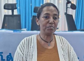 በአማራ ክልል በሦሥት የመሶብ የአንድ ማዕከል አገልግሎት ከ30 ሺህ በላይ ተገልጋዮች ተስተናግደዋል።