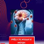 643813130_1354343963390191_8881157235651946081_n