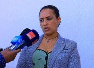 የእናቶችን ሕይዎት ለመታደግ የባለሙያዎች እና አጋር አካላት ተሳትፎን ማጠናከር ይገባል።