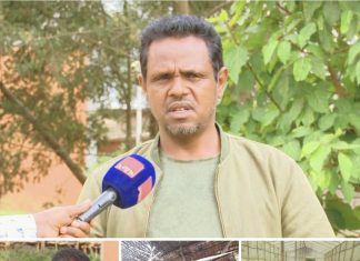 ምሥራቅ ጎጃም ዞን ግብርና መምሪያ የቡና ምርትን ለማሳደግ እየሠራ ነው።