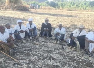 የፍትሕ ምንጩ ዙፋን ዋልዋጅ!