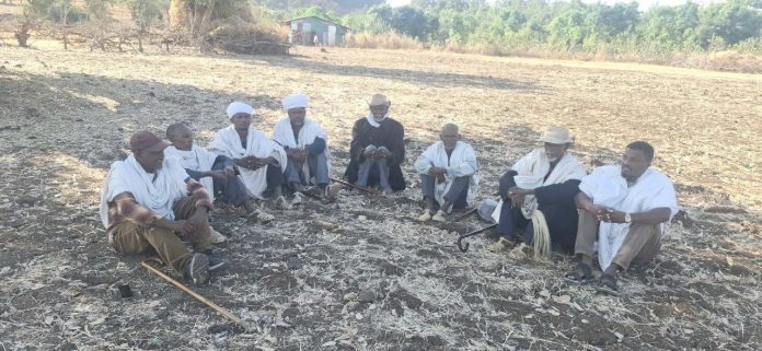 WhatsApp Image 2026-02-15 at 11.31.40 AM