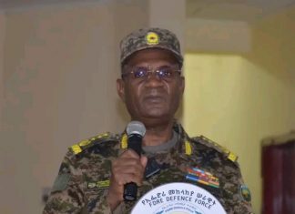 “ኢትዮጵያ ጀግኖች ልጆቿ በሚከፍሉት መስዋዕትነት ጠላቶቿን እያሳፈረች ነው” ሌተናል ጄኔራል መሃመድ ተሰማ