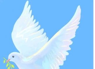 እስከመቼ ነው ?