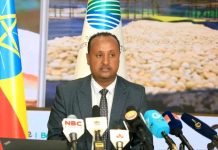 ኢትዮጵያ በስድስት ወራት ውስጥ ቡናን ወደ ውጭ ገበያ በመላክ ከ1ቢሊዮን ዶላር በላይ ገቢ አገኘች።