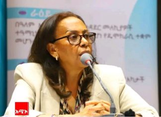 ምርጫ ቦርድ በስምረት ፓርቲ በኩል ቀርቦ የነበረው የክስ ፋይል መዘጋቱን አስታወቀ።