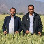 በቆቦ ጊራና ሸለቆ ልማት ፕሮጀክት 1 ሺህ 589 ሄክታር መሬት በተለያዩ ሰብሎች ተሸፍኗል። 1773572881780