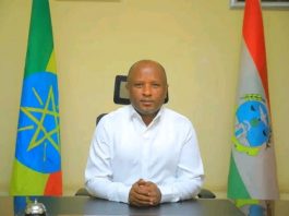 የኮሪደር ልማት ሥራዎች ሀረር ታሪካዊ ከተማ ብቻ ሳትኾን ከዘመኑ ጋር እንደምትዘምን ያሳዩ ናቸው።