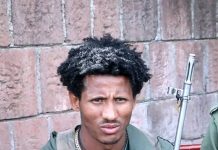 “የትጥቅ ትግል የአማራን ሕዝብ በኢኮኖሚ አድቅቆታል” ፍቅሩ ሙሉዬ