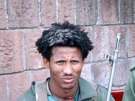 “የትጥቅ ትግል የአማራን ሕዝብ በኢኮኖሚ አድቅቆታል” ፍቅሩ ሙሉዬ