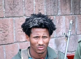 “የትጥቅ ትግል የአማራን ሕዝብ በኢኮኖሚ አድቅቆታል” ፍቅሩ ሙሉዬ