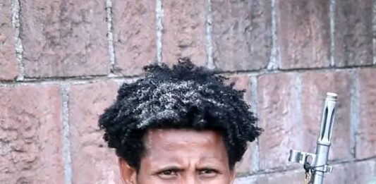 “የትጥቅ ትግል የአማራን ሕዝብ በኢኮኖሚ አድቅቆታል” ፍቅሩ ሙሉዬ