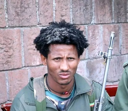 “የትጥቅ ትግል የአማራን ሕዝብ በኢኮኖሚ አድቅቆታል” ፍቅሩ ሙሉዬ