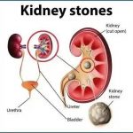 645725314_1359466029544651_4386277050195981905_n