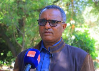 መምህራን ለትምህርት እና ለሰላም አርበኛ በመኾን ሙያዊ ኀላፊነታቸውን መወጣት ይገባቸዋል።