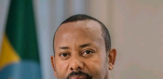 ጠቅላይ ሚኒስትር ዐቢይ አሕመድ (ዶ.ር) ከፕሬዝዳንት ቭላድሚር ፑቲን ጋር ተወያዩ።