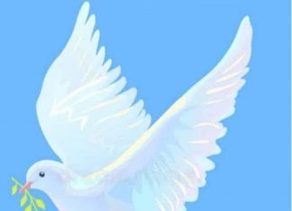 ኢትዮጵያ የሰላም ካባ መልበስ አለባት።