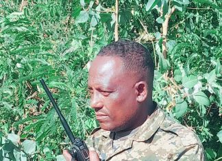 “ጋይንት ላይ የታቀደው የጽንፈኛው ቡድን እና የላኪዎቹ ህልም በሀገር መከላከያ ሠራዊት ክንድ መክኗል” ኮሎኔል ዓለሜ ታደለ