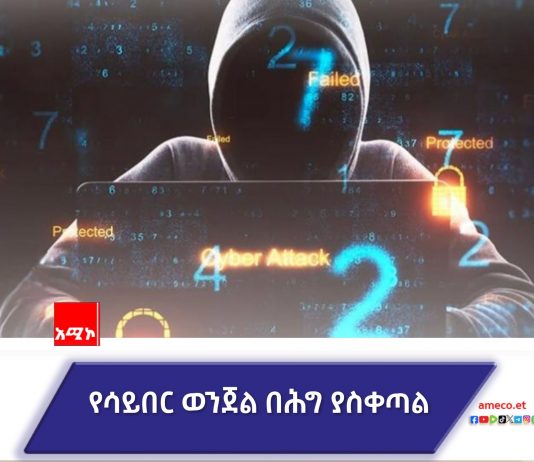 የሳይበር ወንጀል ተጠያቂነት ምን ድረስ ነው?