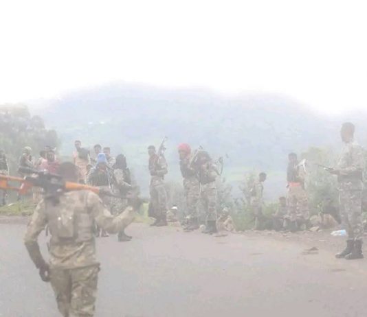 የአማራ ክልል አድማ መከላከል ፖሊስ- የማይበገረው የሰላም እና የልማት ዘብ!