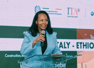 የብዝኃ ኢኮኖሚ ፖሊሲው የውጭ ሀገራት ድርጅቶች መዋዕለ ንዋያቸውን በኢትዮጵያ ፈሰስ እንዲያደርጉ እየጋበዘ ነው።