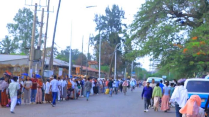 657908390_916280114651036_2899088619108802640_n