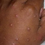 658097927_917126014566446_9209821771157072665_n