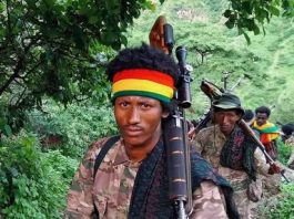 ፍቅሩ ሙልዬ የሰላም አማራጭን ተቀበለ።