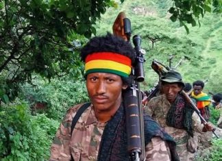 ፍቅሩ ሙልዬ የሰላም አማራጭን ተቀበለ።