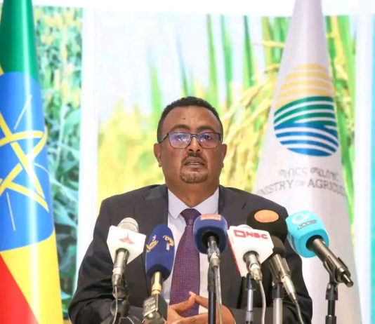 የ2018/2019 የመኸር ምርትን ስኬታማ ለማድረግ የምርት ማሳደጊያ ግብዓቶች እየቀረቡ ነው።