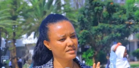 ሴፍቲኔት የኢኮኖሚ መነሻ እንጅ የእርዳታ መለማመጃ አይደለም።