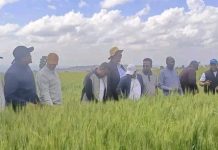 በግብርናው ዘርፍ ተጨባጭ ለውጦች ተመዝግበዋል።