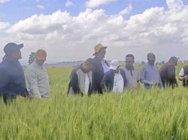 በግብርናው ዘርፍ ተጨባጭ ለውጦች ተመዝግበዋል።