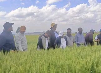 በግብርናው ዘርፍ ተጨባጭ ለውጦች ተመዝግበዋል።