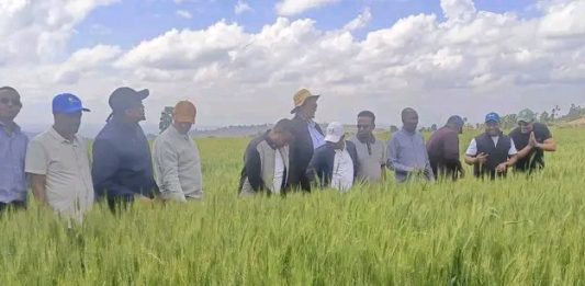 በግብርናው ዘርፍ ተጨባጭ ለውጦች ተመዝግበዋል።