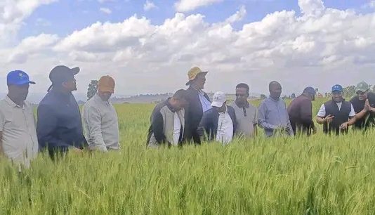 በግብርናው ዘርፍ ተጨባጭ ለውጦች ተመዝግበዋል።