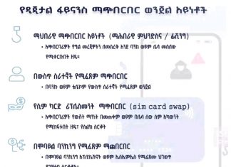 ዋና ዋናዎቹ የዲጂታል ፋይናንስ ማጭበርበሮች፦