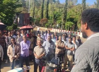 አሚኮ ባለሙያዎቹ በምቾት እንዲሠሩ የሚተጋ ተቋም ነው።