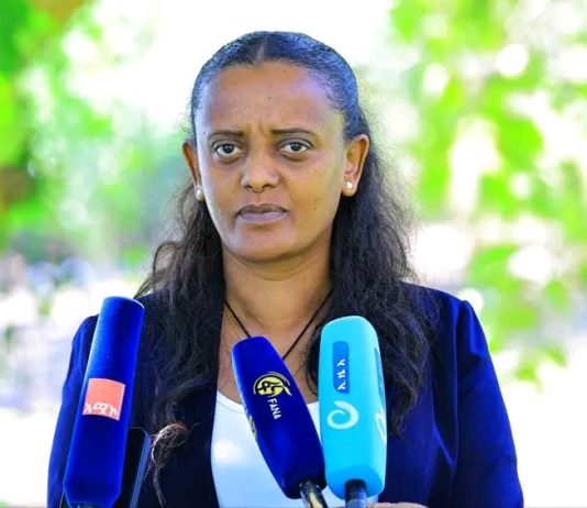 በአማራ ክልል 38 የመሶብ ማዕከላትን ለመገንባት እየተሠራ ነው።