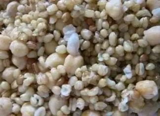 አንድነት እና ኅብረት የሚገለጥበት- ጉልባን