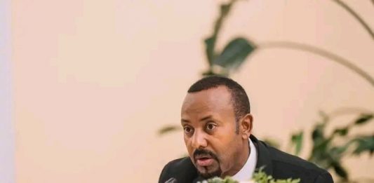 ጠቅላይ ሚኒስትር ዐቢይ አሕመድ (ዶ.ር) ከቡሩንዲ ፕሬዝዳንት ኢቫሪስቴ ንድያይሺሚዬ ጋር ተወያዩ።